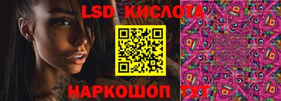 бошки Сланцы